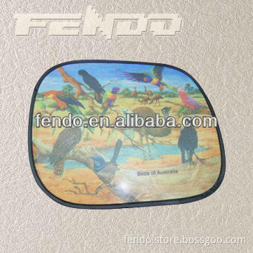 car electric sunshade